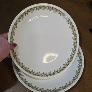 Corelle Spring Blossom Green Dinner Plates 10.25” Set of 2 Daisy